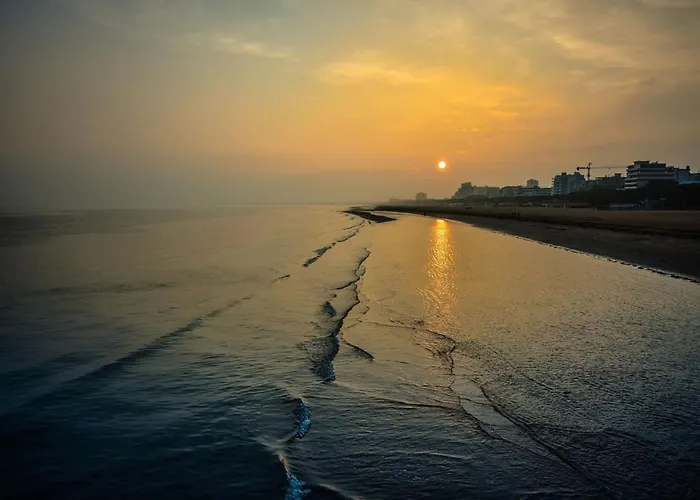 Apartman Sunny Near The *